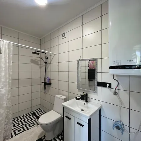 в центрі сонячного закарпаття Apartment