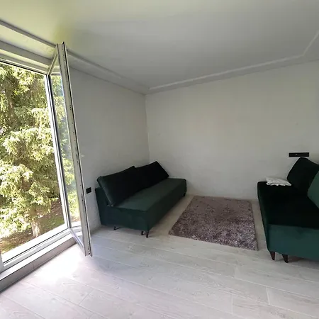 в центрі сонячного закарпаття Apartment *