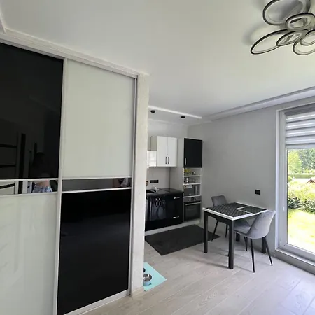 в центрі сонячного закарпаття Apartment Polyana (Transcarpathia)