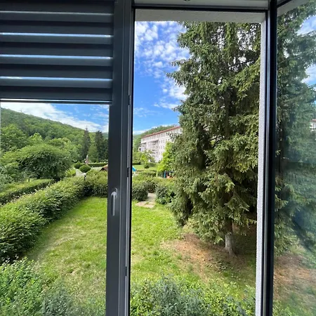 в центрі сонячного закарпаття Apartment *